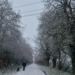 Ongar Parklands - Ongar