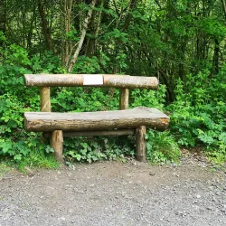 Abbeyleix Bog Walk - Portlaoise