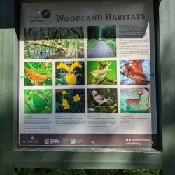 Abbeyleix Bog Walk - Portlaoise