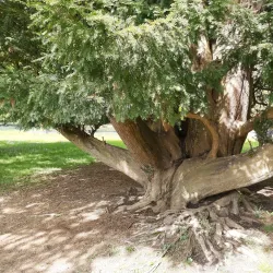 Emo Court - Portlaoise