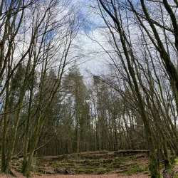 Emo Court - Portlaoise