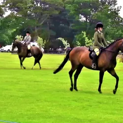 Stradbally Hall and Gardens - Portlaoise