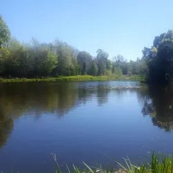 Stradbally Hall and Gardens - Portlaoise