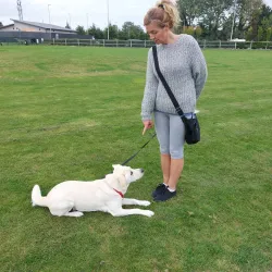 Blackwater Park - Ratoath