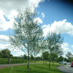 Ratoath Community Park - Ratoath