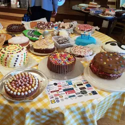 Ratoath GAA Grounds - Ratoath