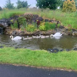 Ratoath Golf Club - Ratoath