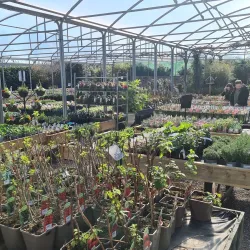 Ratoath Heritage Centre - Ratoath