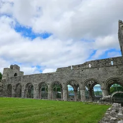 Boyle Abbey - Roscommon
