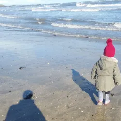 Bremore Castle - Rush