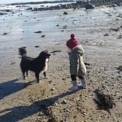 Bremore Castle - Rush