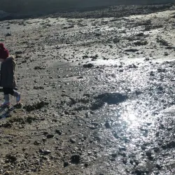 Bremore Castle - Rush