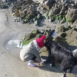 Bremore Castle - Rush