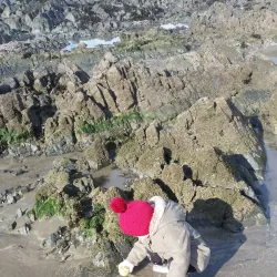 Bremore Castle - Rush