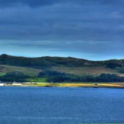 Lambay Island - Rush