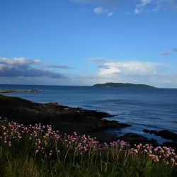 Lambay Island - Rush