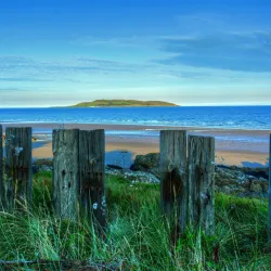 Lambay Island - Rush