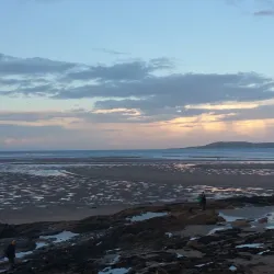 Lambay Island - Rush