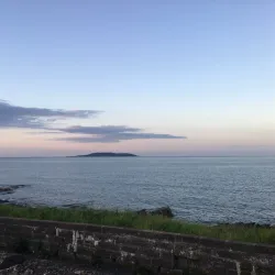 Lambay Island - Rush