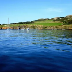 Lambay Island - Rush