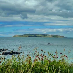 Lambay Island - Rush