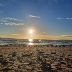 Rush Golf Club - Rush