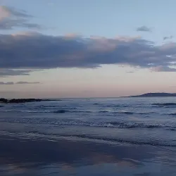 Velvet Strand Beach - Rush