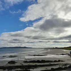 Velvet Strand Beach - Rush