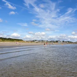 Velvet Strand Beach - Rush