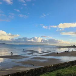 Velvet Strand Beach - Rush