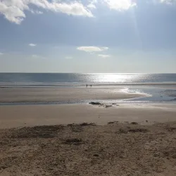 Velvet Strand Beach - Rush