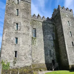 Bunratty Castle and Folk Park - Shannon