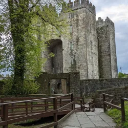 Bunratty Castle and Folk Park - Shannon