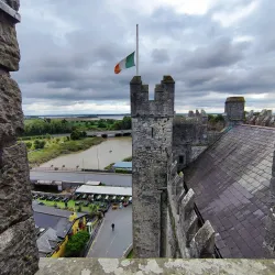 Bunratty Castle and Folk Park - Shannon