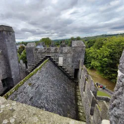 Bunratty Castle and Folk Park - Shannon