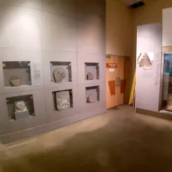 Clare Museum - Shannon