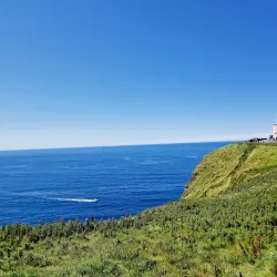 Cliffs of Moher - Shannon