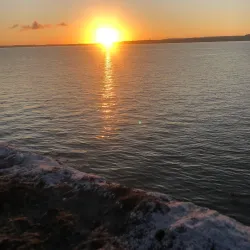 Shannon Estuary - Shannon