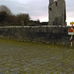 Shannon Estuary - Shannon