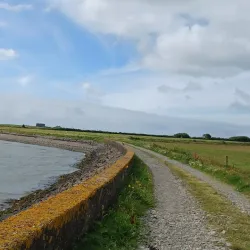 Shannon Estuary - Shannon