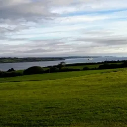 Shannon Estuary - Shannon