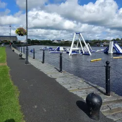 Shannon Estuary - Shannon