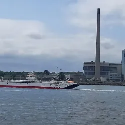 Shannon Estuary - Shannon