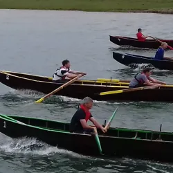 Shannon Estuary - Shannon