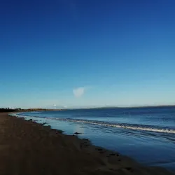 Shannon Estuary - Shannon