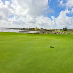 Shannon Golf Club - Shannon