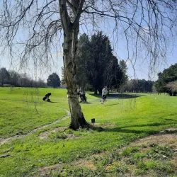 Shannon Golf Club - Shannon