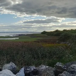 Shannon Golf Club - Shannon