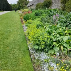 Ardgillan Castle and Demesne - Skerries