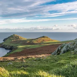 Lambay Island - Skerries